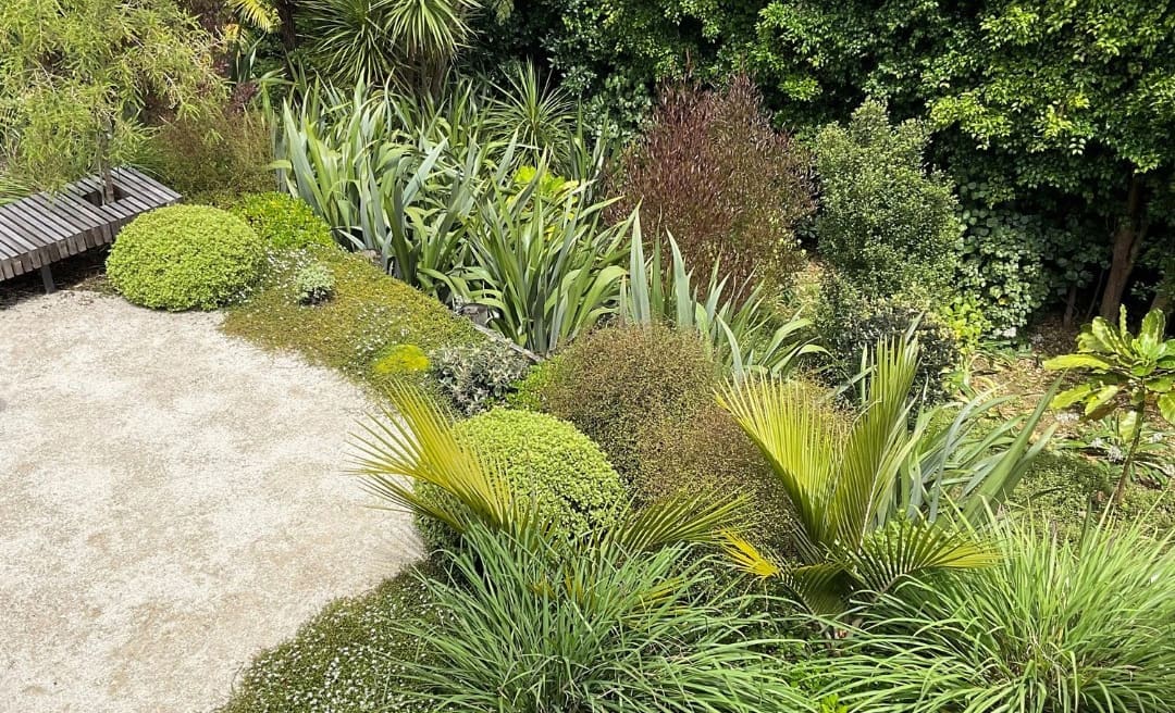 Why Planting in Autumn Helps Your Landscape Thrive Year-Round